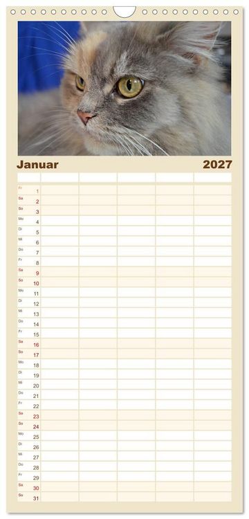 Produktbild: Familienplaner 2027 - Katzen im Portr&auml;t / Geburtstagskalender mit 5 Spalten (Wandkalender, 21 x 45 cm) CALVENDO