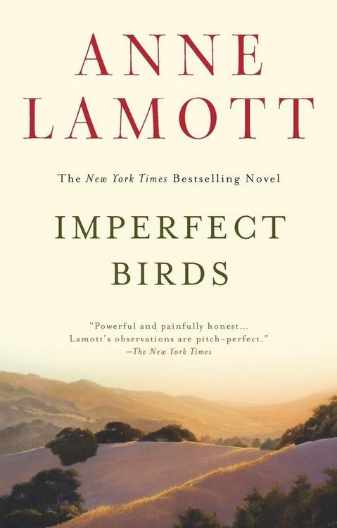 Produktbild: Imperfect Birds