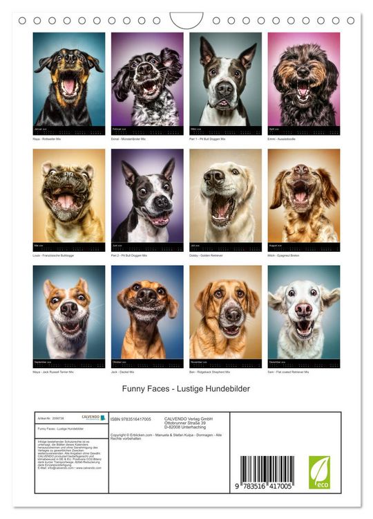 Produktbild: Funny Faces - Lustige Hundebilder (Wandkalender 2026 DIN A4 hoch), CALVENDO Monatskalender