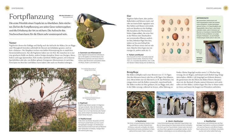 Produktbild: V&ouml;gel - Eine Natur- und Kulturgeschichte