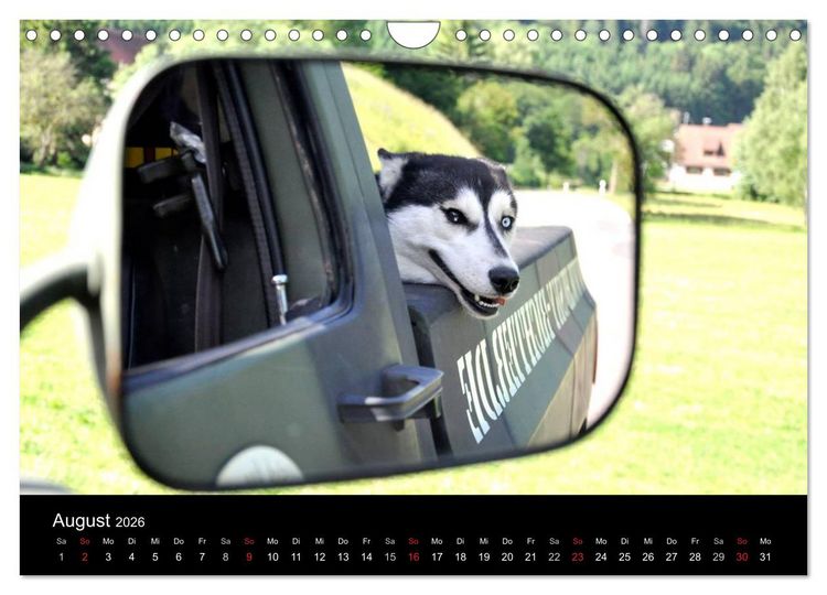 Produktbild: Sibirische Huskys aus Deutschland (Wandkalender 2026 DIN A4 quer), CALVENDO Monatskalender