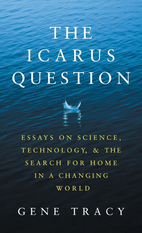 Produktbild: The Icarus Question