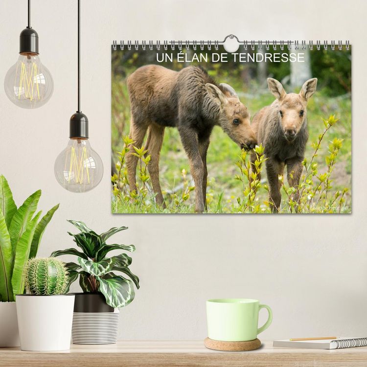 Produktbild: Un &eacute;lan de tendresse (Calendrier mural 2026 DIN A4 vertical), CALVENDO calendrier mensuel
