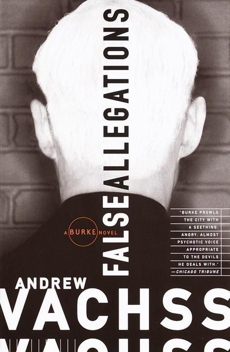 Produktbild: False Allegations