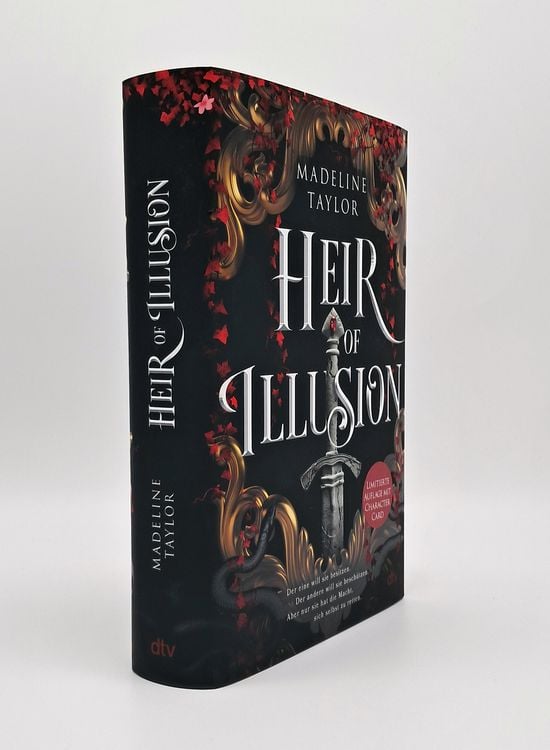 Produktbild: Heir of Illusion
