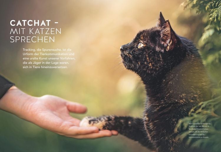 Produktbild: Was will mir meine Katze sagen?