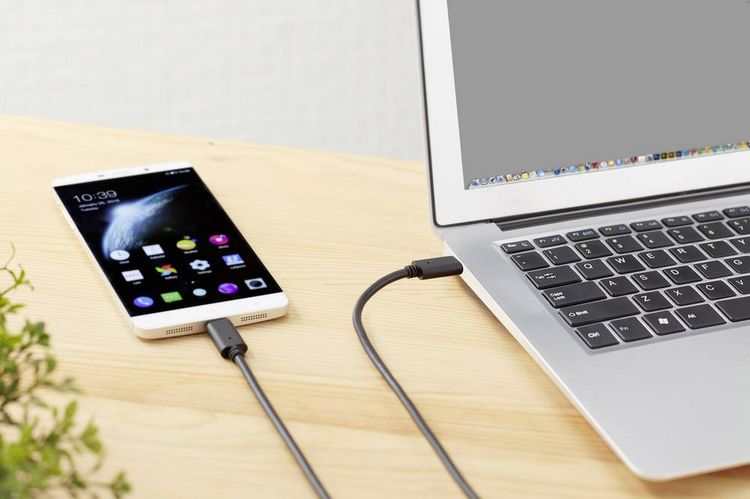 Produktbild: Renkforce USB-Kabel USB 3.2 Gen2x2 USB-C&reg; Stecker, USB-C&reg; Stecker 1.50 m Schwarz vergoldete Steckkontakte RF-4381074