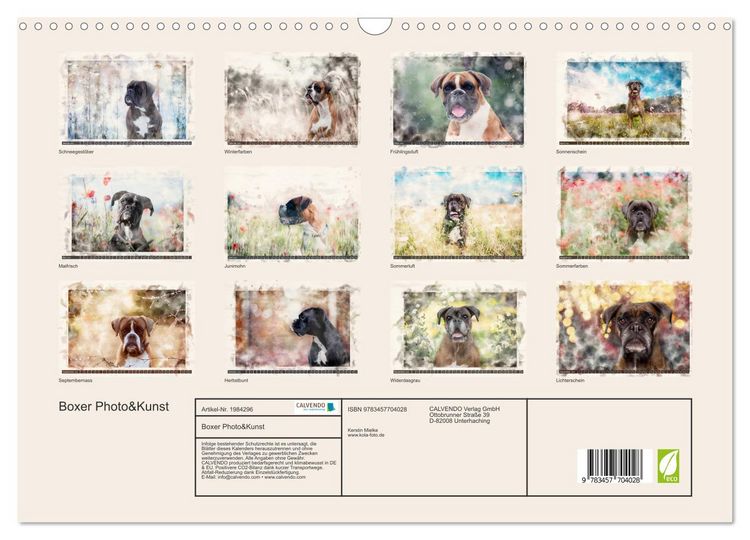 Produktbild: Boxer Photo&Kunst (Wandkalender 2026 DIN A3 quer), CALVENDO Monatskalender