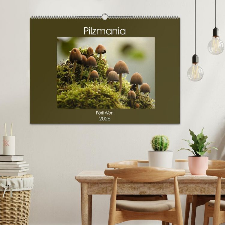 Produktbild: Pilzmania (Wandkalender 2026 DIN A2 quer), CALVENDO Monatskalender