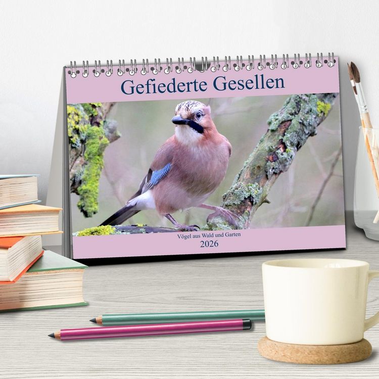 Produktbild: Gefiederte Gesellen - V&ouml;gel aus Wald und Garten (Tischkalender 2026 DIN A5 quer), CALVENDO Monatskalender