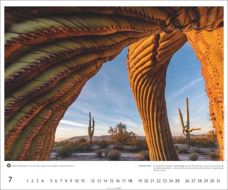 Produktbild: Meisterwerke der Natur 2027 - Preisgekr&ouml;nte Naturfotografie