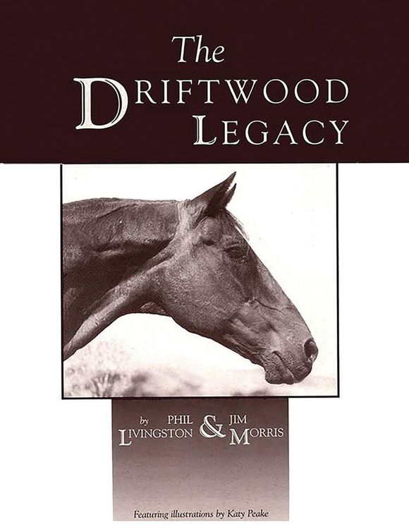 Produktbild: The Driftwood Legacy