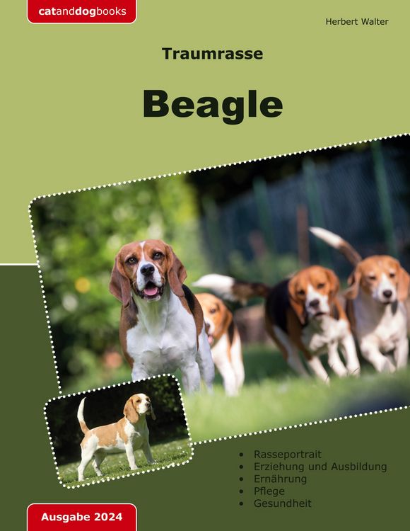 Produktbild: Traumrasse: Beagle