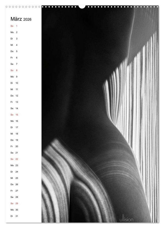 Produktbild: Akt abstrakt (hochwertiger Premium Wandkalender 2026 DIN A2 hoch), Kunstdruck in Hochglanz