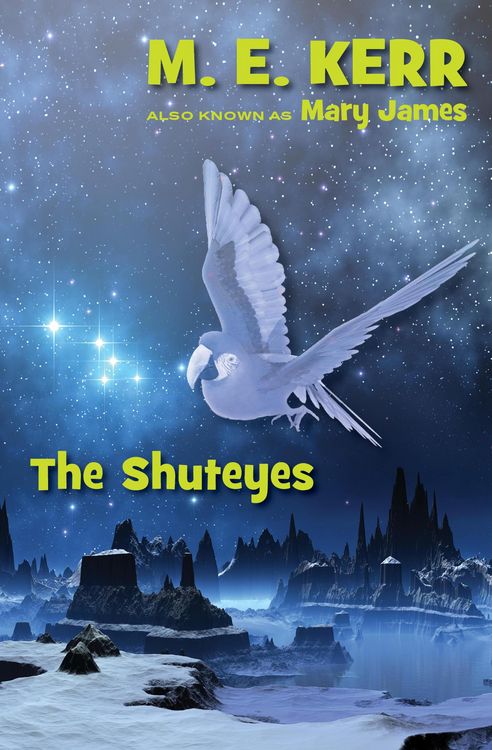 Produktbild: The Shuteyes