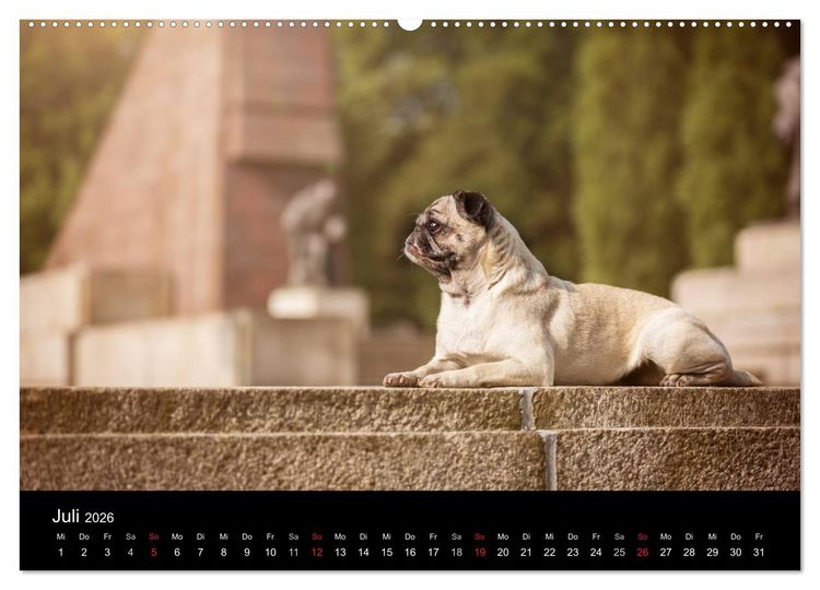 Produktbild: Berliner M&ouml;pse (Wandkalender 2026 DIN A2 quer), CALVENDO Monatskalender