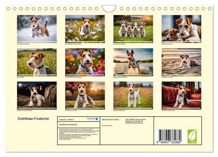 Produktbild: Drahthaar-Foxterrier (Wandkalender 2026 DIN A4 quer), CALVENDO Monatskalender