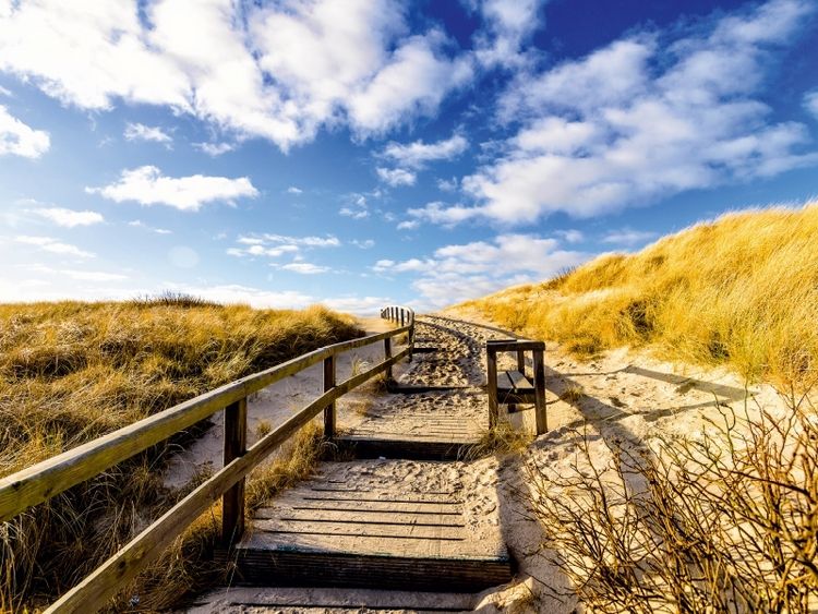 Produktbild: Weg durch die D&uuml;nen zum Meer (Puzzle)