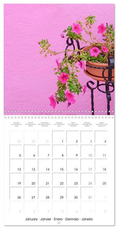 Produktbild: Leaves and flowers of Burano (Wall Calendar 2026 12 &times; 12 Inch) CALVENDO 12 Month Wall Calendar