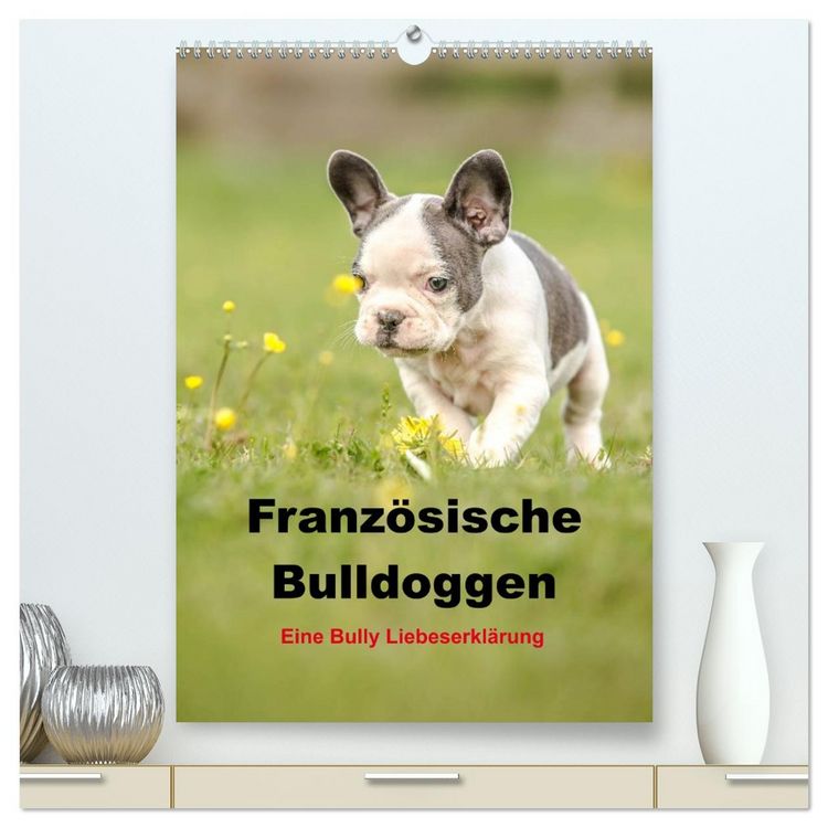 Produktbild: Franz&ouml;sische Bulldoggen - Eine Bully Liebeserk&auml;rung (hochwertiger Premium Wandkalender 2026 DIN A2 hoch), Kunstdruck in Hochglanz