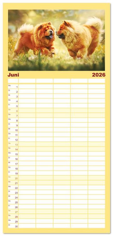 Produktbild: Familienplaner 2026 - Chow Chow Momente. Fellpoesie aus dem Reich der Mitte mit 5 Spalten (Wandkalender, 21 x 45 cm) CALVENDO