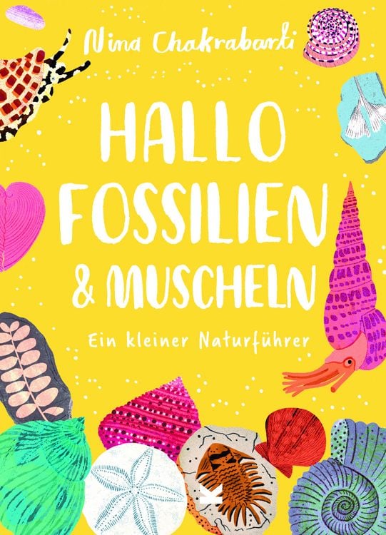 Produktbild: Hallo Fossilien & Muscheln