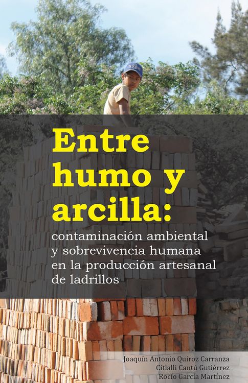 Produktbild: Entre humo y arcilla: contaminaci&oacute;n ambiental y sobrevivencia humana en la producci&oacute;n artesanal de ladrillos