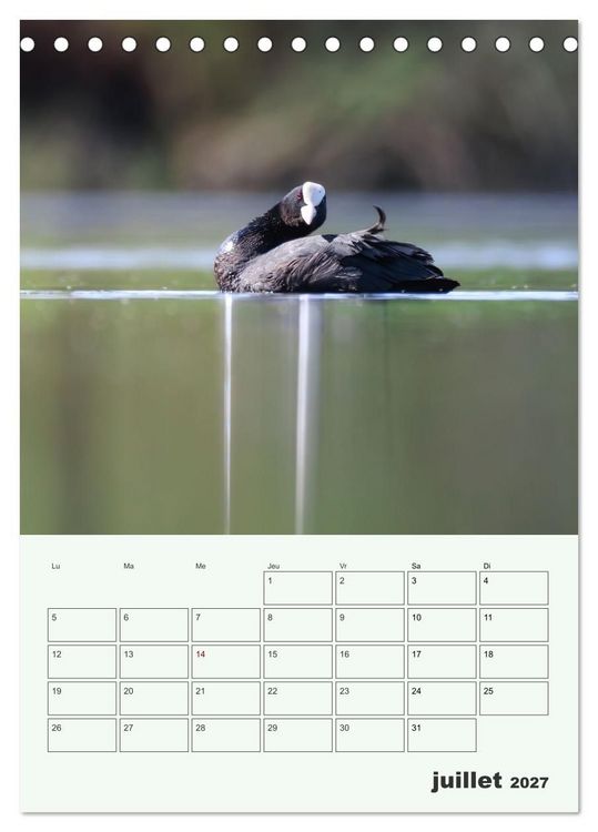 Produktbild: Le monde intime des oiseaux (Calendrier de bureau 2027 DIN A5 horizontal), CALVENDO calendrier mensuel