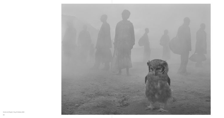 Produktbild: Nick Brandt