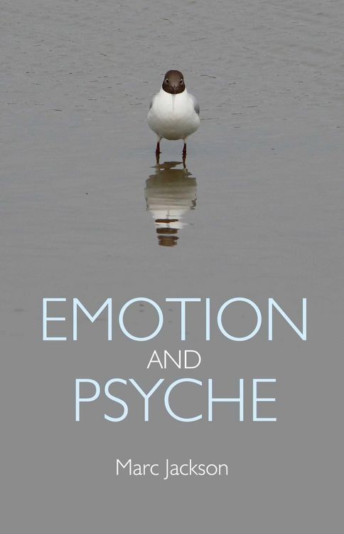 Produktbild: Emotion and Psyche