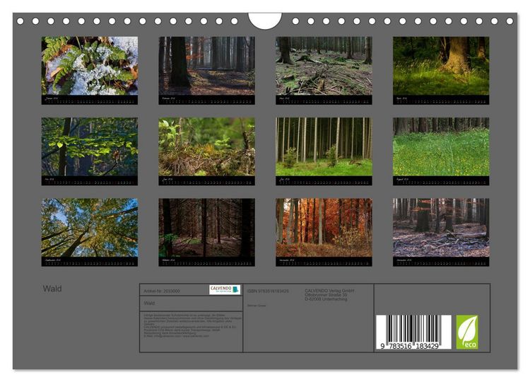 Produktbild: Wald (Wandkalender 2026 DIN A4 quer), CALVENDO Monatskalender