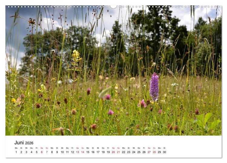 Produktbild: Zauberhafte Schw&auml;bische Alb (hochwertiger Premium Wandkalender 2026 DIN A2 quer), Kunstdruck in Hochglanz
