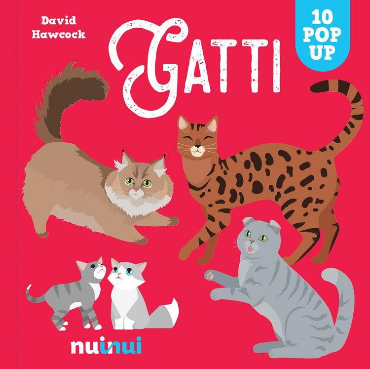 Produktbild: Gatti. Sorprendenti pop up