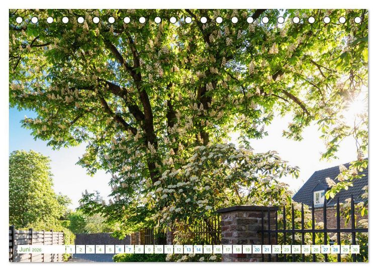 Produktbild: K&ouml;ln Widdersdorf - Bl&uuml;tentr&auml;ume und l&auml;ndliche Idylle (Tischkalender 2026 DIN A5 quer), CALVENDO Monatskalender