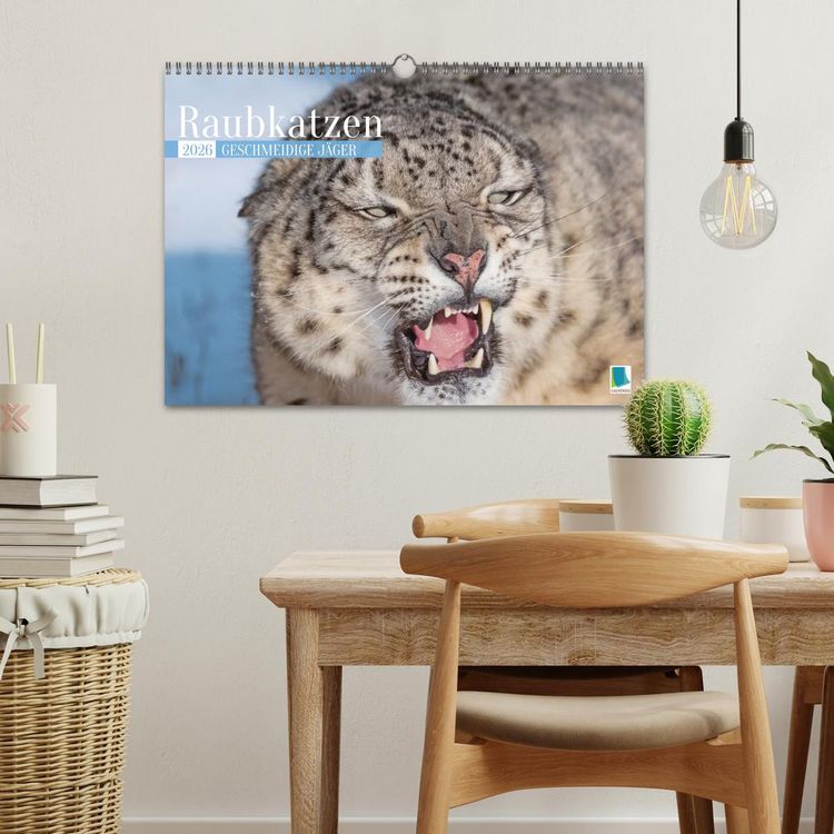 Produktbild: Raubkatzen: Geschmeidige J&auml;ger (Wandkalender 2026 DIN A3 quer), CALVENDO Monatskalender