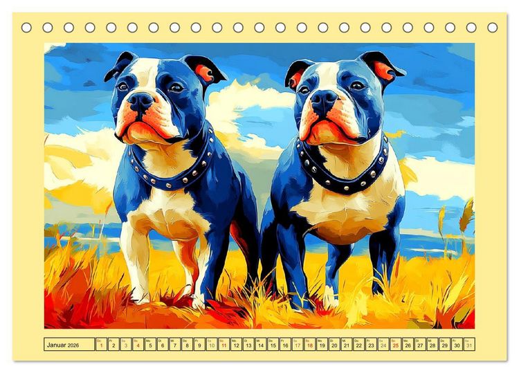 Produktbild: Pit Bulls und Familie. Bunte Bull Breed Sch&ouml;nheiten (Tischkalender 2026 DIN A5 quer), CALVENDO Monatskalender