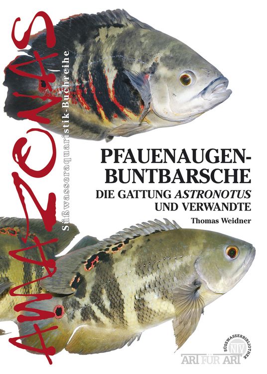 Produktbild: Pfauenaugenbuntbarsche