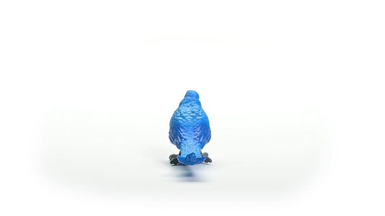 Produktbild: schleich&reg; 14859 Hyazinth Ara