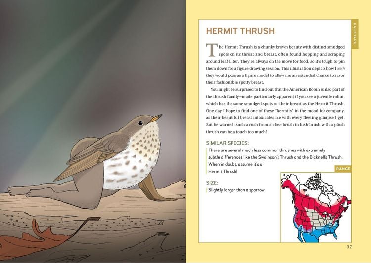 Produktbild: Extremely Accurate Birds