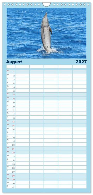 Produktbild: Familienplaner 2027 - Delfine: Elegante Wellenreiter mit 5 Spalten (Wandkalender, 21 x 45 cm) CALVENDO