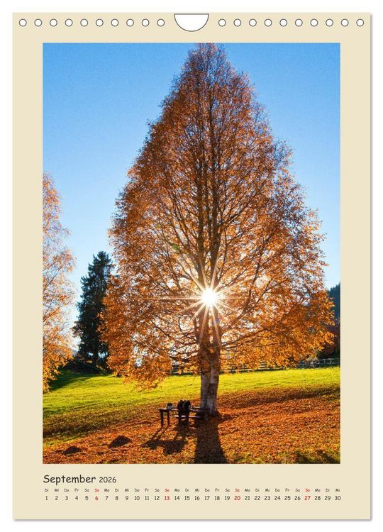 Produktbild: Ein Herz f&uuml;r Flachau (Wandkalender 2026 DIN A4 hoch), CALVENDO Monatskalender