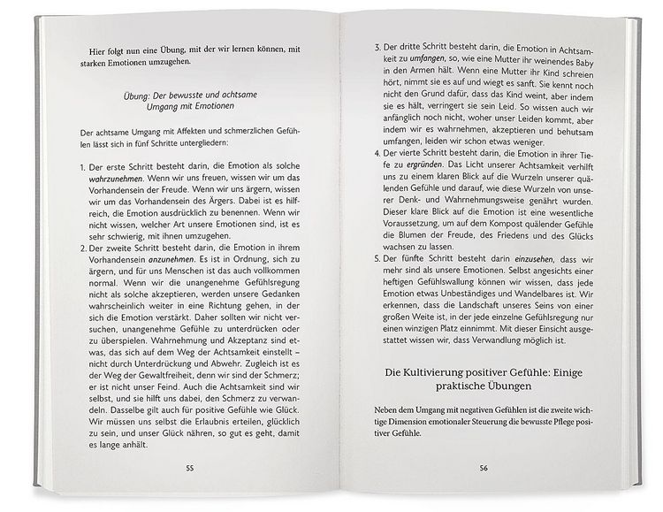 Produktbild: Der Gl&uuml;cksstandard