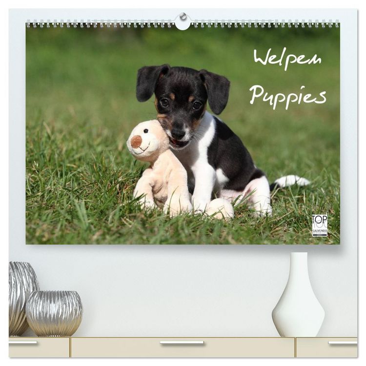 Produktbild: Welpen - Puppies (hochwertiger Premium Wandkalender 2026 DIN A2 quer), Kunstdruck in Hochglanz