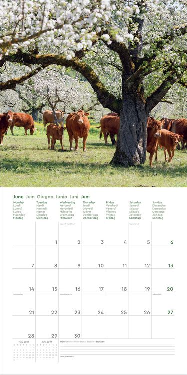 Produktbild: Deutschland - KUNTH Broschurkalender 2027