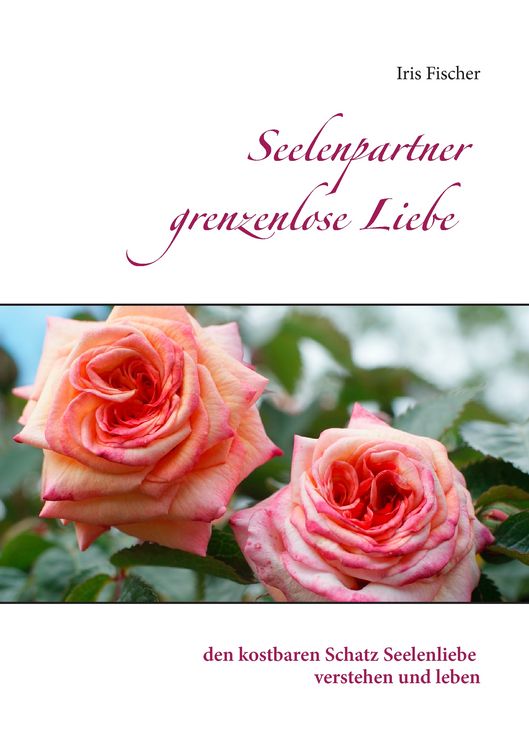Produktbild: Seelenpartner grenzenlose Liebe