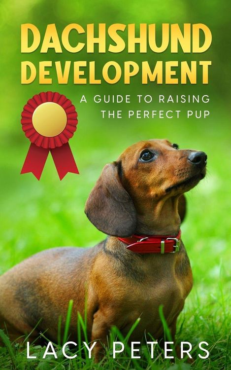 Produktbild: Dachshund Development