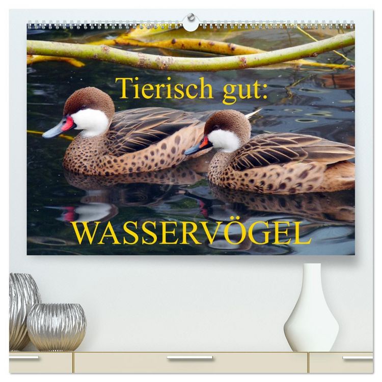 Produktbild: Tierisch gut: Wasserv&ouml;gel (hochwertiger Premium Wandkalender 2026 DIN A2 quer), Kunstdruck in Hochglanz