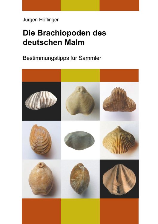 Produktbild: Die Brachiopoden des deutschen Malm