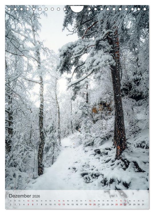 Produktbild: Winter Spaziergang (Wandkalender 2026 DIN A4 hoch), CALVENDO Monatskalender