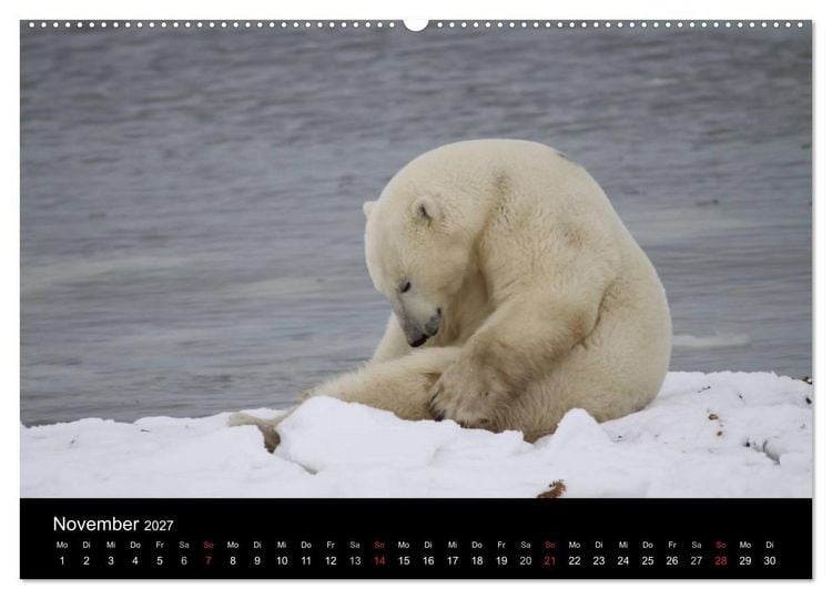 Produktbild: Arktische Tr&auml;ume - Eisb&auml;ren in Kanada (Wandkalender 2027 DIN A2 quer), CALVENDO Monatskalender